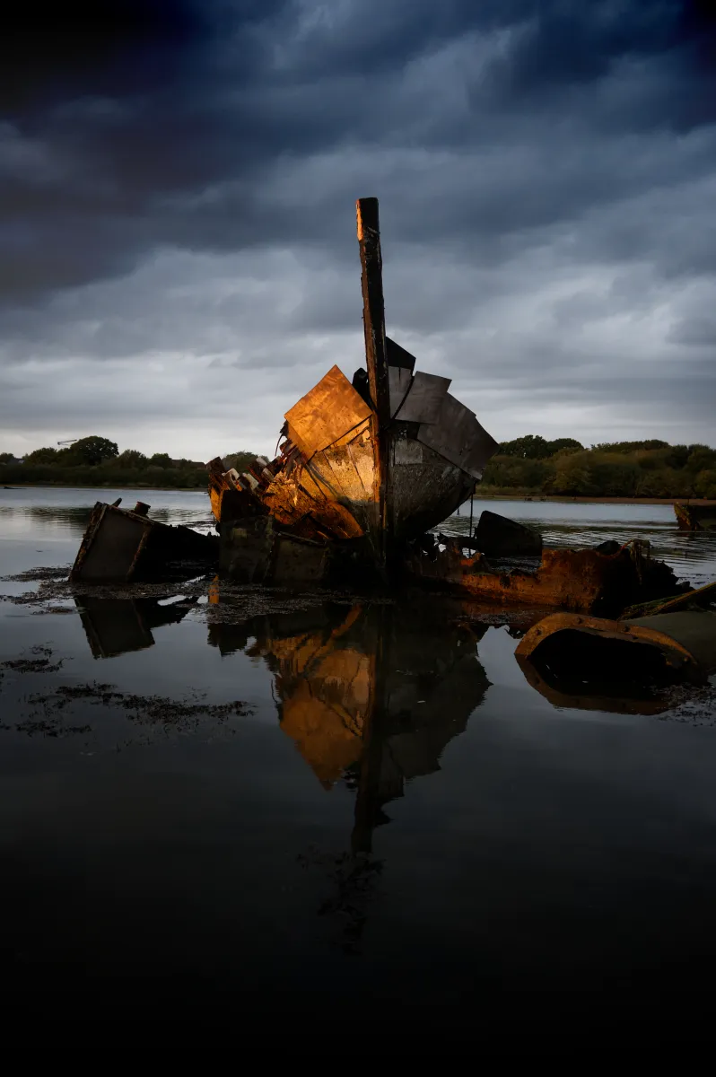 Whispers of the Viking