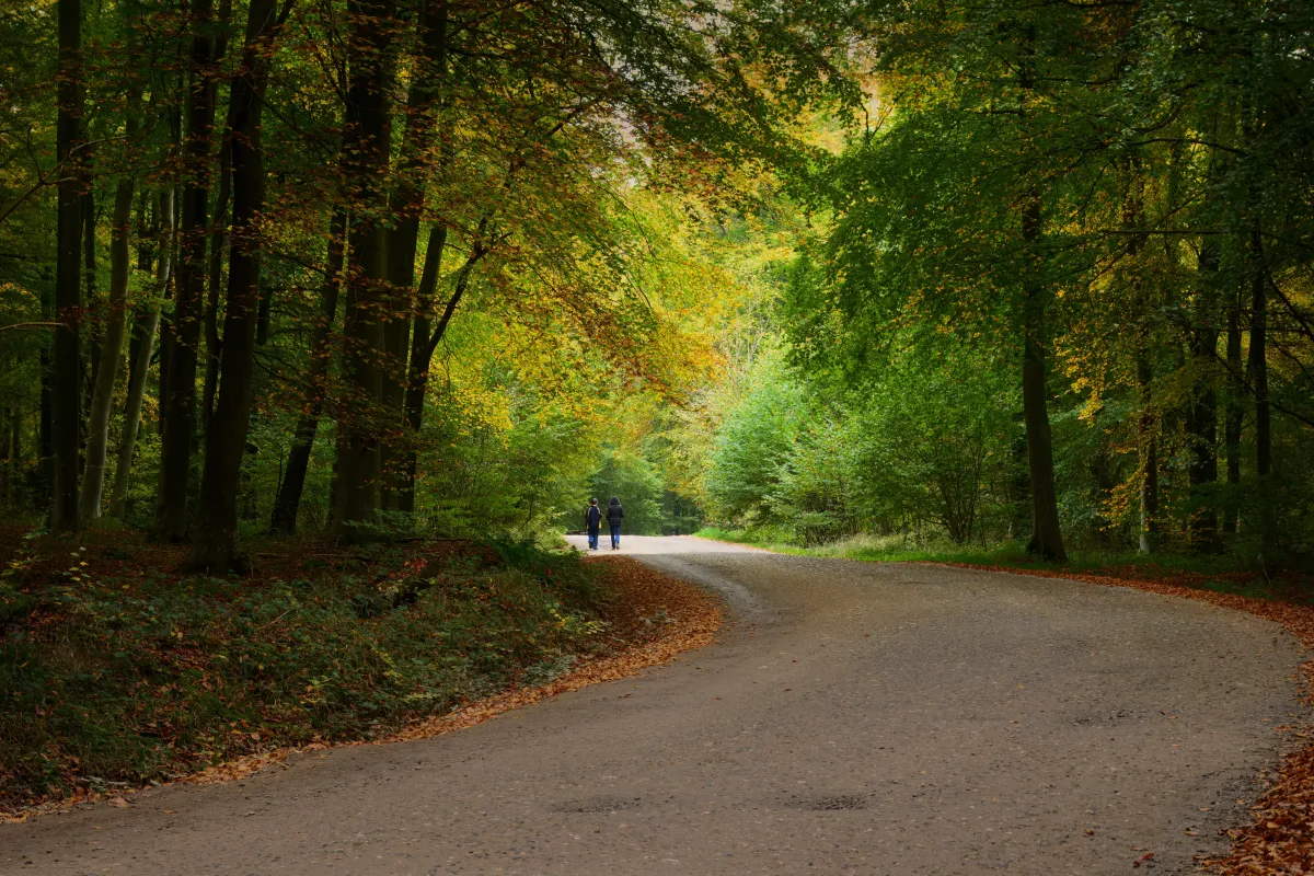 Mother and son forest walk
